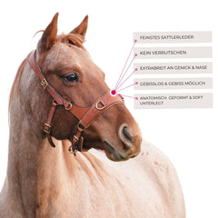 100%-Zaum der Pferdeflüsterei: Feiner Multifunktionszaum mit breitem Nasenteil