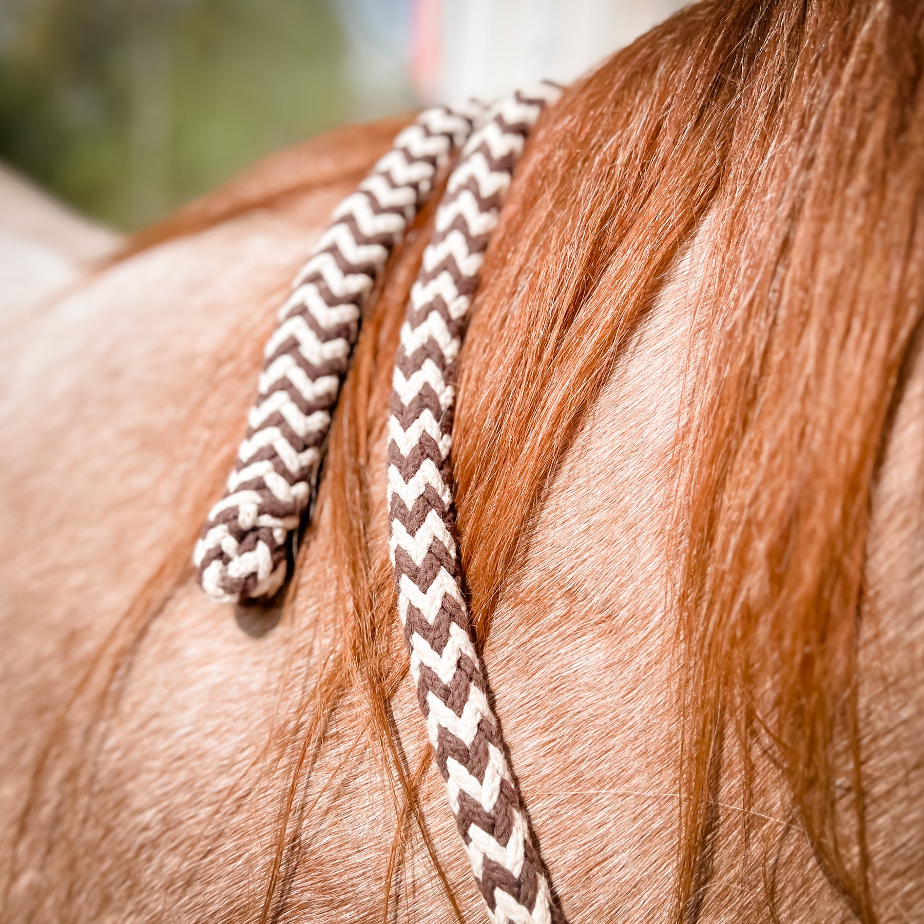 Jumbo Führstrick 2 Meter - Extra Stabiler Baumwollstrick Für Hunde In Grau-Pink