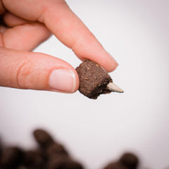 Superfood Cookies von der Pferdeflüsterei für dein Training
