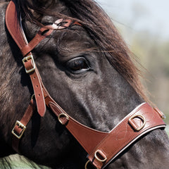 100%-Zaum der Pferdeflüsterei: Feiner Multifunktionszaum mit breitem Nasenteil