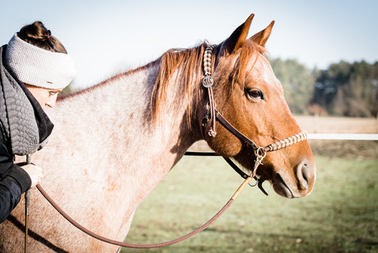 Edles Flecht-Reithalfter inklusive Zügel im SET, braun/gold