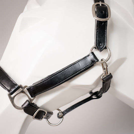 Stallhalfter "Classy" aus feinem Leder - edel und puristisch
