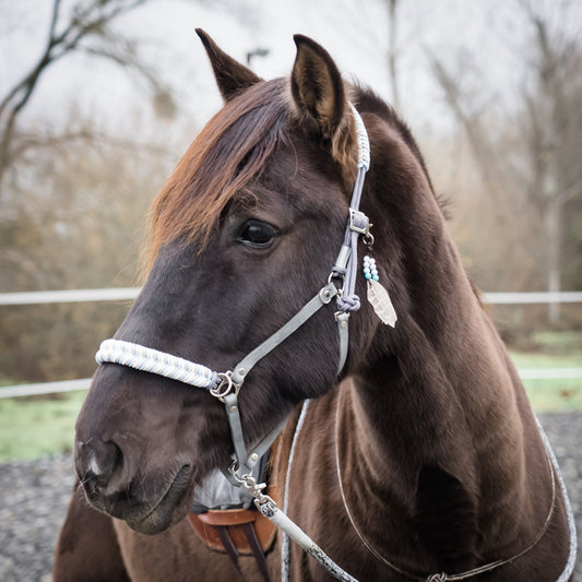 Limited WINTER EDITION! "Shades of Grey" Flecht-Reithalfter Twotimes