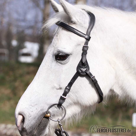 Zaumzeug Contour Physio von Barefoot! Anatomisch geformt und Anti-Rutsch - Pferdefluesterei-Shop
