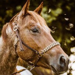 Halfter und Zaum in einem! Unser Flecht-Reithalfter aus Fettleder