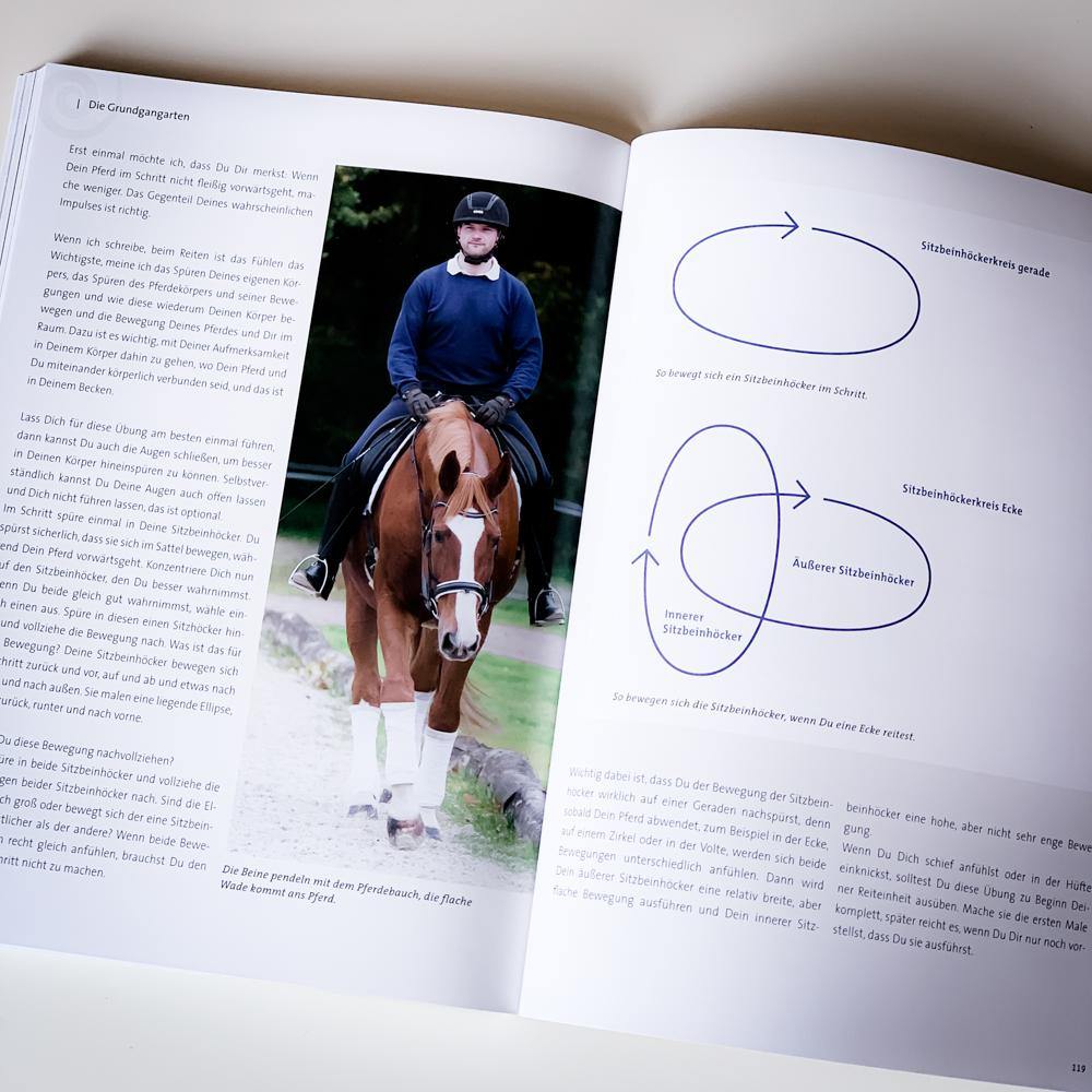 Equihypnose® - Verblüffend einfaches Trainingsprogramm für besseres Reiten - Pferdefluesterei-Shop