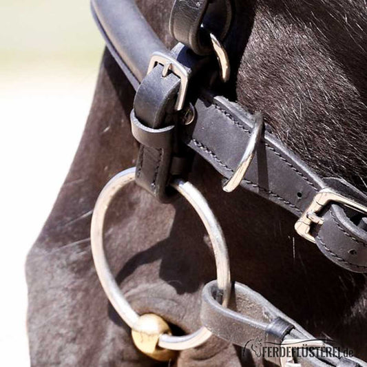 Gebissriemchen von Barefoot aus pflanzlich gegerbtem Leder - Pferdefluesterei-Shop